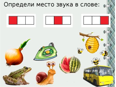 Определи место хзвукав слове