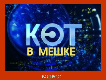 Своя игра картинка
