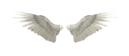 Крылья ангела клипарт (52 фото)