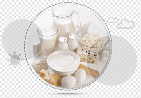 Молоко и молочные продукты