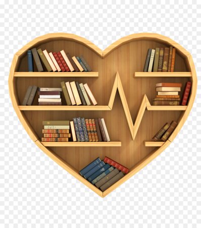 Стеллаж с книгами на белом фоне