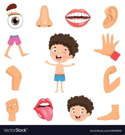 Мультяшное тело человека