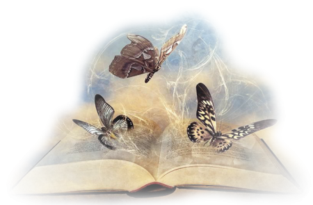 Книга с бабочками