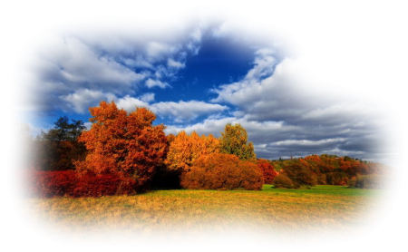 Осенняя природа на прозрачном фоне