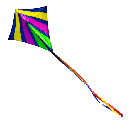 Makar Sankranti Kite