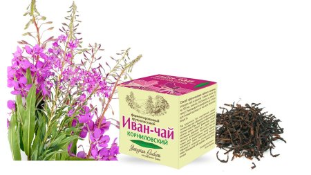 Ортосифон Иван чай