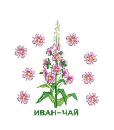 Кипрей Иван чай стилизация