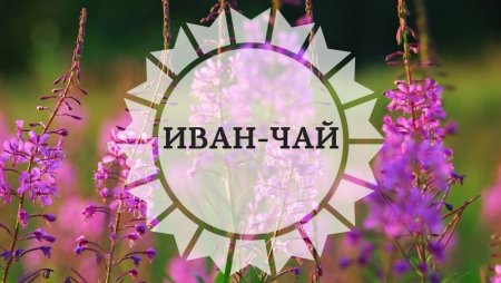 Иван чай этикетка