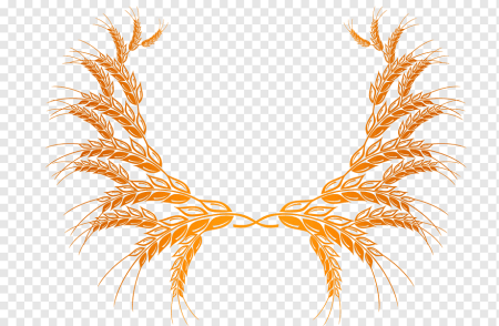 Пшеничный Колос