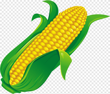 Дети кукурузы