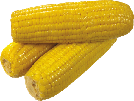 Чокло кукуруза