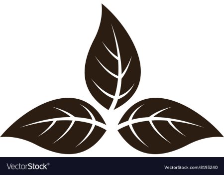 Листья табака