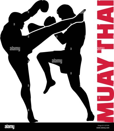 Силуэт бойца Муай Тай