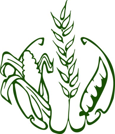 Сельскохозяйственные культуры рисунок