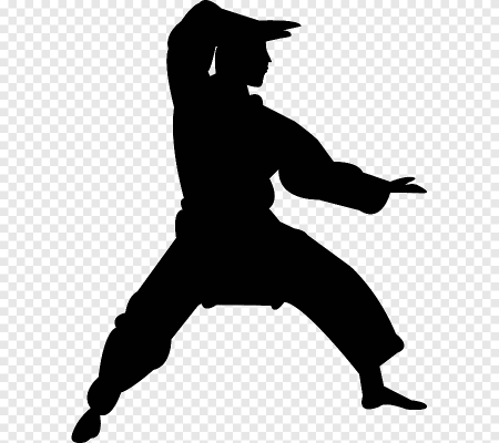 Karate Kyokushin silhouette