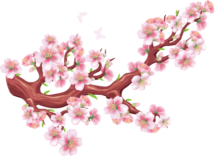 Sakura ветка