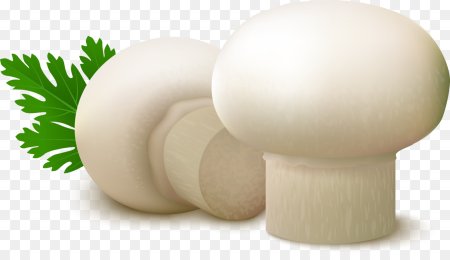 Шампиньоны мультяшные