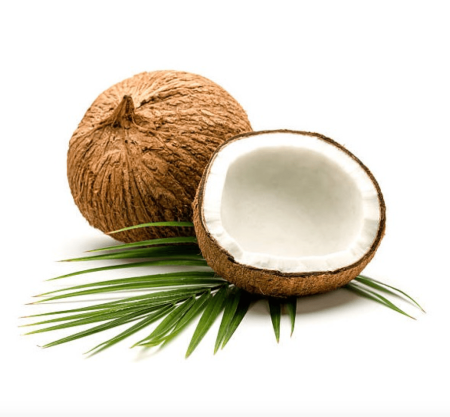 Cocos nucifera 140/19 - Кокос