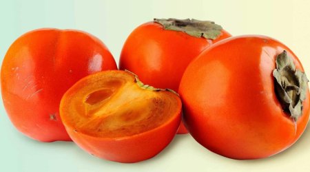 Хурма хурма шишбурун