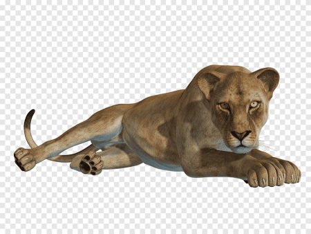 Коричневая львица