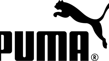 Пума на прозрачном фоне