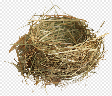 Nest гнездо