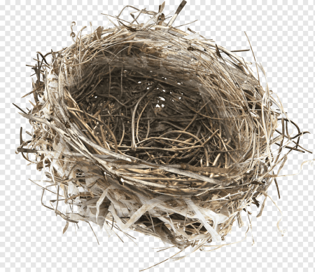 Nest гнездо