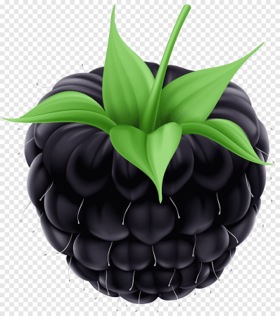 Ежевика Clipart
