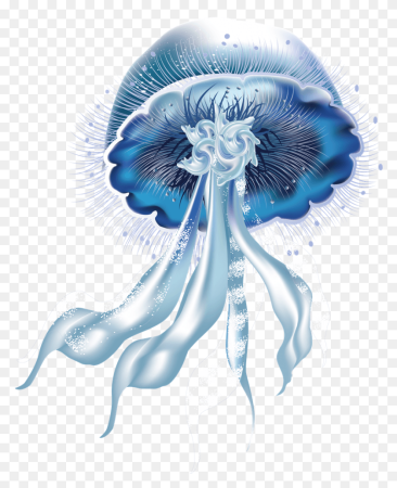 Physalia utriculus