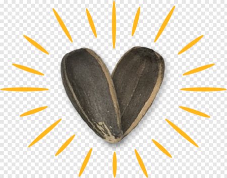 Семечка без фона