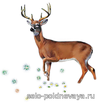 Серебряное копытце на белом фоне