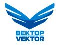 Разводные мосты Питер вектор