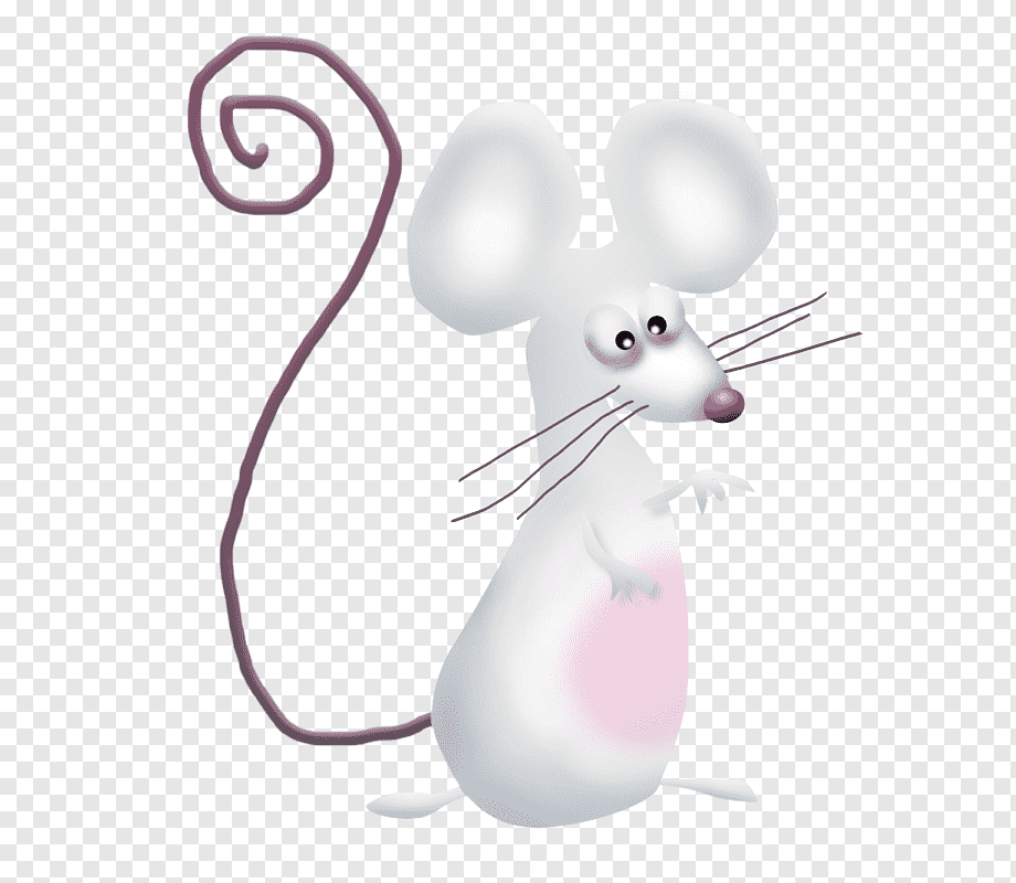 Рис мыши