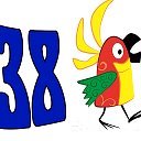 38 Попугаев на прозрачном фоне