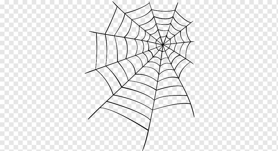Паутина человека паука без паука. Паутина вектор. Паутина Графика. Паутинка без фона. Паутина фон.