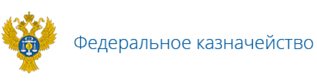 Федеральное казначейство логотип без фона