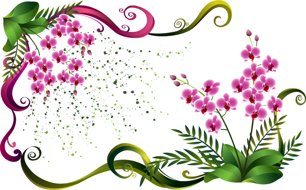 Цветы для оформления весны. Цветы на прозрачном фоне. Векторные цветы. Красивые векторные цветы. Орнамент из цветов.