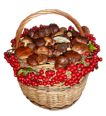 Корзина с грибами вектор
