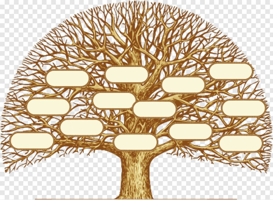 Тень древа. Генеалогическое дерево. Дерево для генеалогического дерева. Красивое дерево для родословной. Ветви семейного дерева.