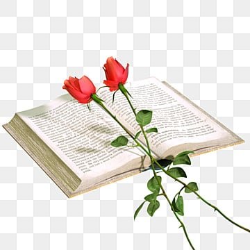 Открытая книга с розой