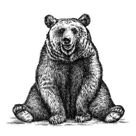 Рисунок медведя для гравировки
