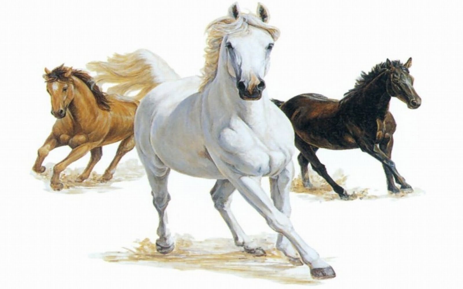 Три лошадки. Лошади. Конь на белом фоне. Тройка лошадей. Лошадь бежит.
