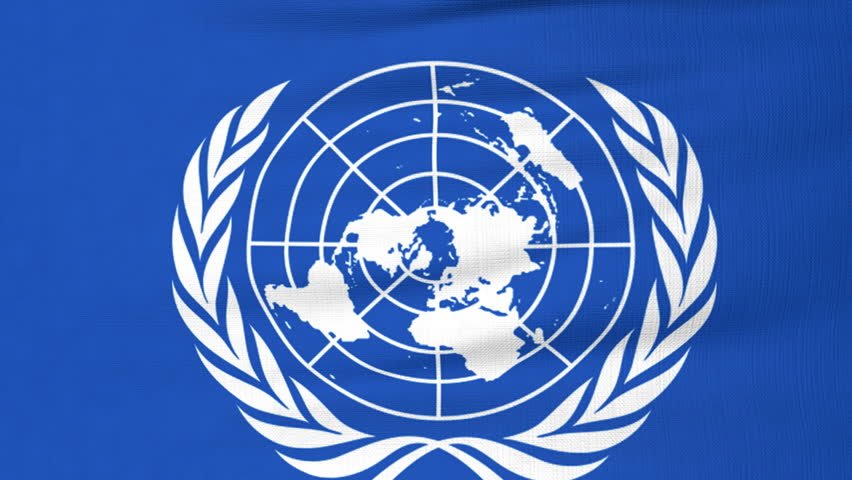 Знак конвенции. Организация Объединённых наций символ. Организация Объединенных наций ООН символ. Флаг организации Объединенных наций. Флаг Генассамблеи ООН.