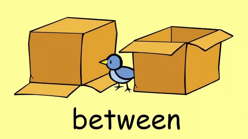 The book is in the box. Предлог between. Предлоги in on under. Предлог next to. Prepositions of place карточки.