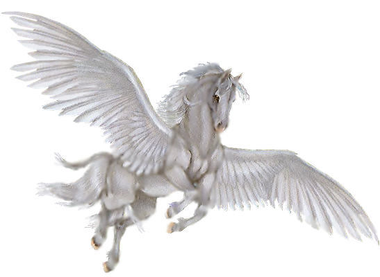 Пегас без крыльев. Белая лошадь с крыльями. Пегас на белом фоне. Крылатый конь. Пегас на прозрачном фоне.
