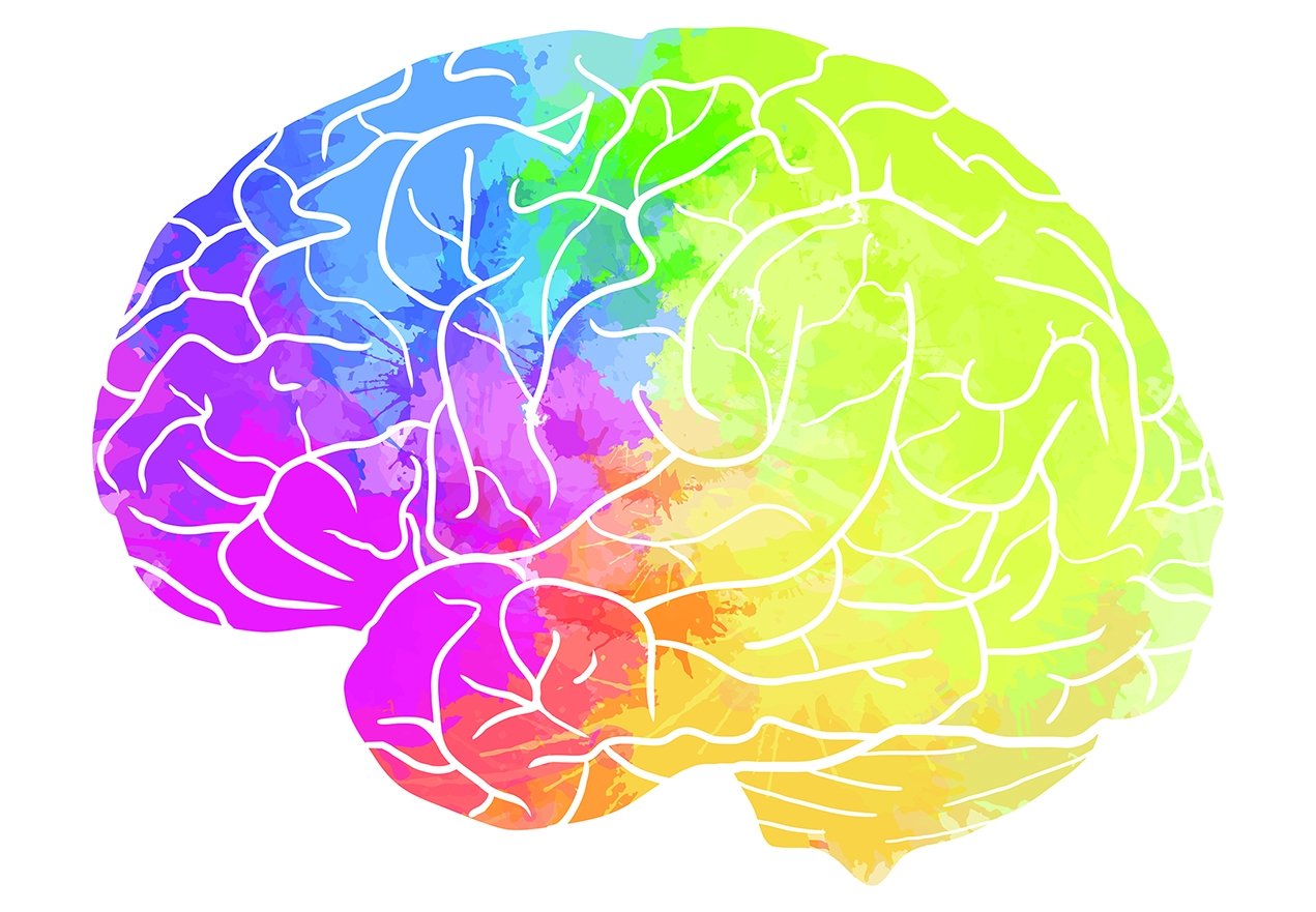 Brain imaging. Разноцветный мозг. Разноцветные мозги. Красивый мозг.