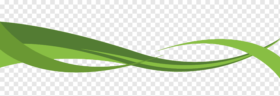 Зеленая прямая линия. Зеленая линия. Зеленые векторные линии. Зеленые линии на прозрачном фоне. Зеленая полоска.