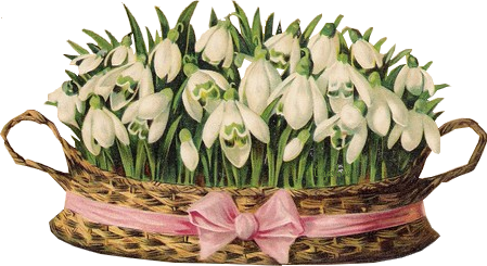 Корзинка с подснежниками