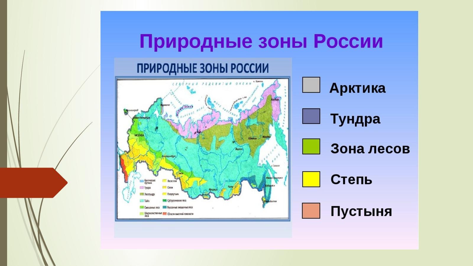 В какой природной зоне находится саратов. Название природных зон. Название зон России. Интерактивный плакат. Интерактивный плакат в THINGLINK.