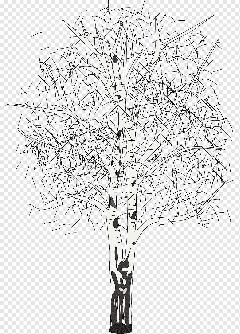 Дерево нарисованное линиями